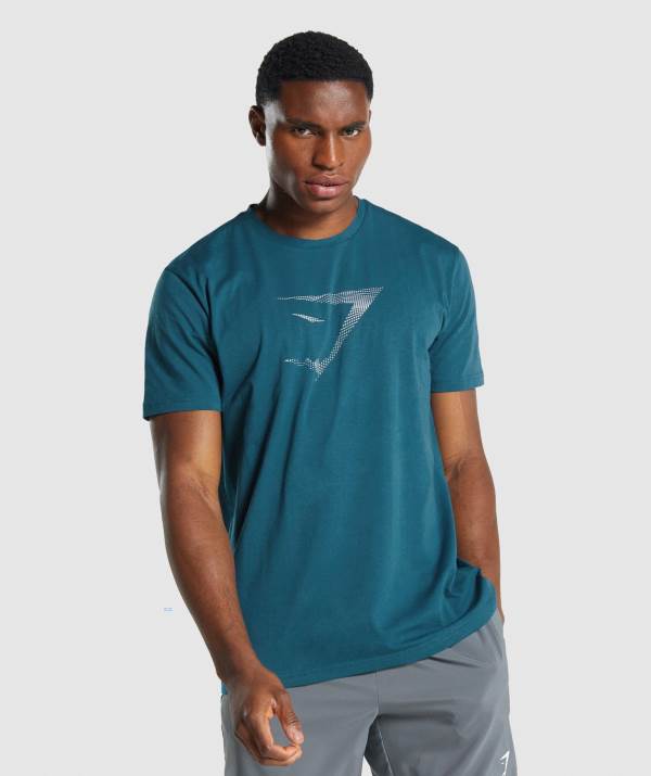 Panske Tricka Gymshark Sharkhead Infill Tyrkysové | QL7431809